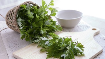 Chườm ngải là gì? Tác dụng trong chữa đau nhức xương khớp